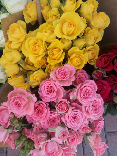 Rosas en Siete Flores Zaragoza