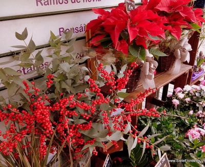 Navidad en Siete Flores Zaragoza