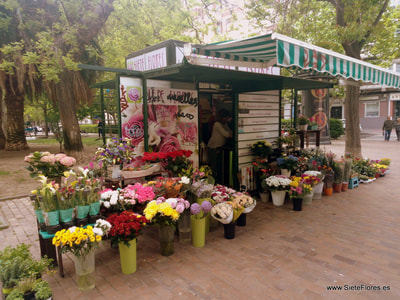 El Quiosco de Flores de Zaragoza el día de la Madre 2018