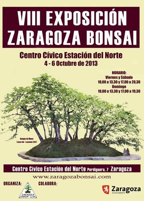Exposicion de Bonsáis en Zaragoza