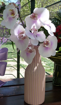Jarrón de orquídeas