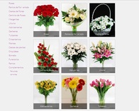 Tienda Online de Flores en Zaragoza