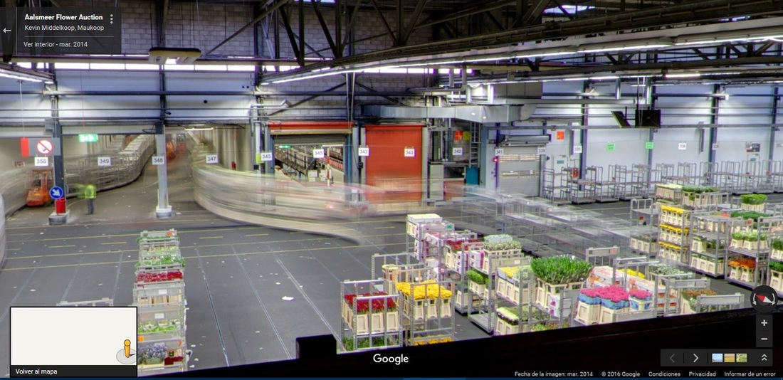 La Subasta de Flores de Holanda en Google StreetView