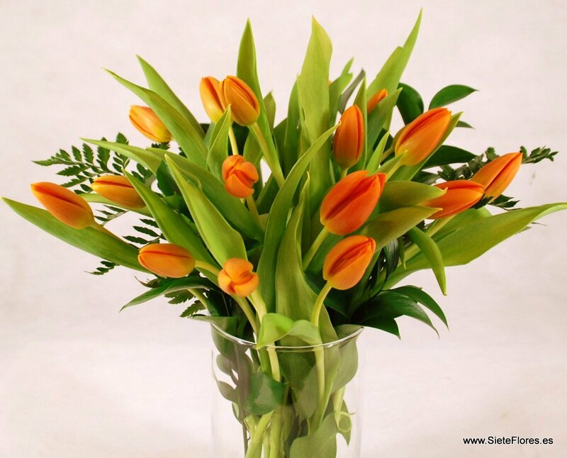 Tulipanes en Siete Flores Zaragoza