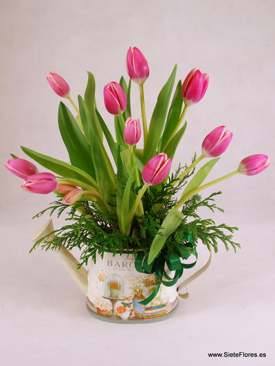 Regadera de Tulipanes en Siete Flores Zaragoza