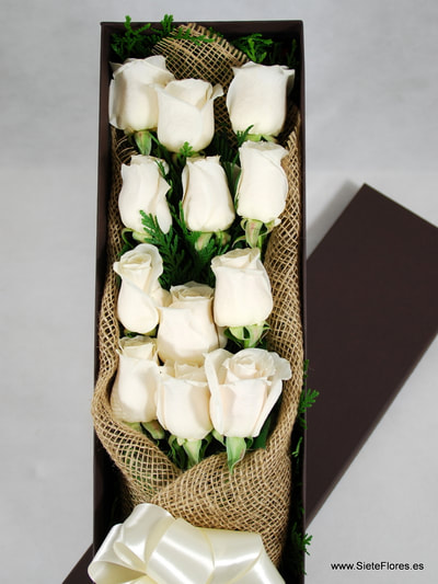 Caja de Rosas Blancas en Siete Flores Zaragoza