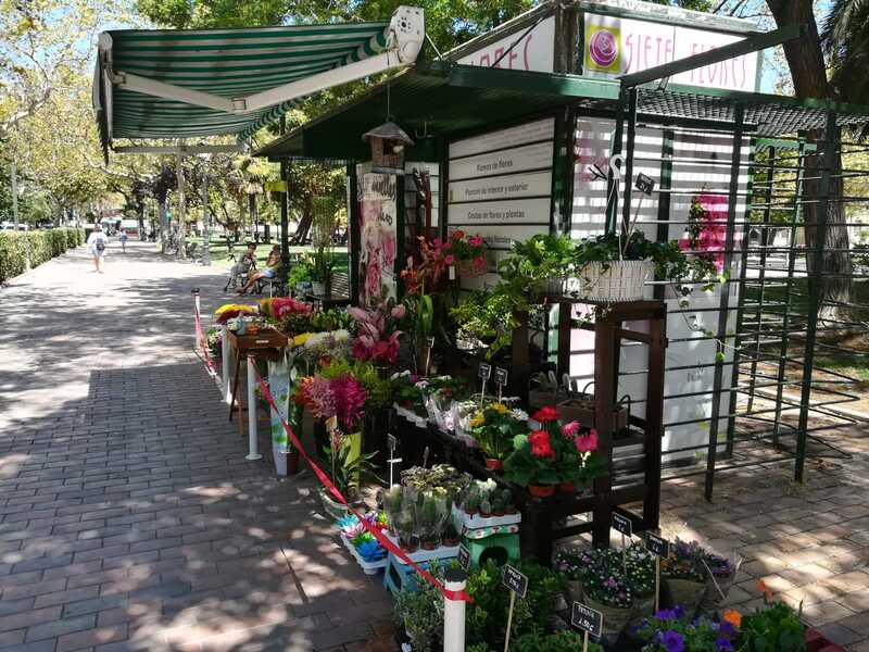 Quiosco de Flores de Siete Flores Zaragoza