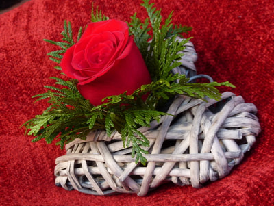 Corazón de San Valentín en Siete Flores Zaragoza
