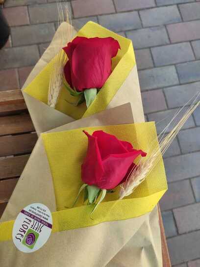 Rosas para San Jorge en Siete Flores Zaragoza